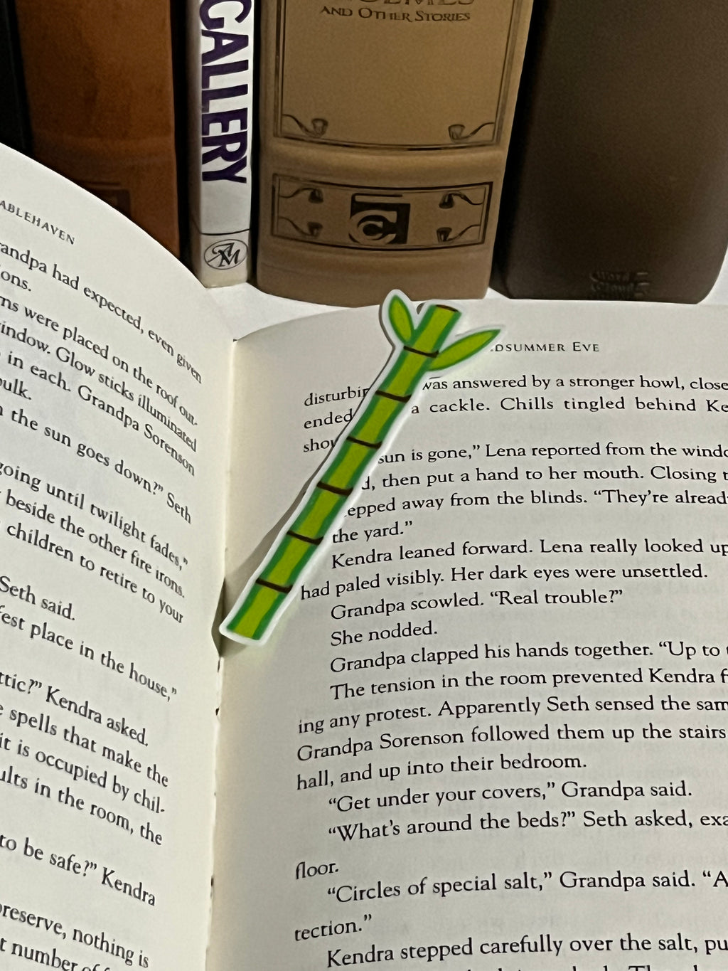Bamboo Bookmark