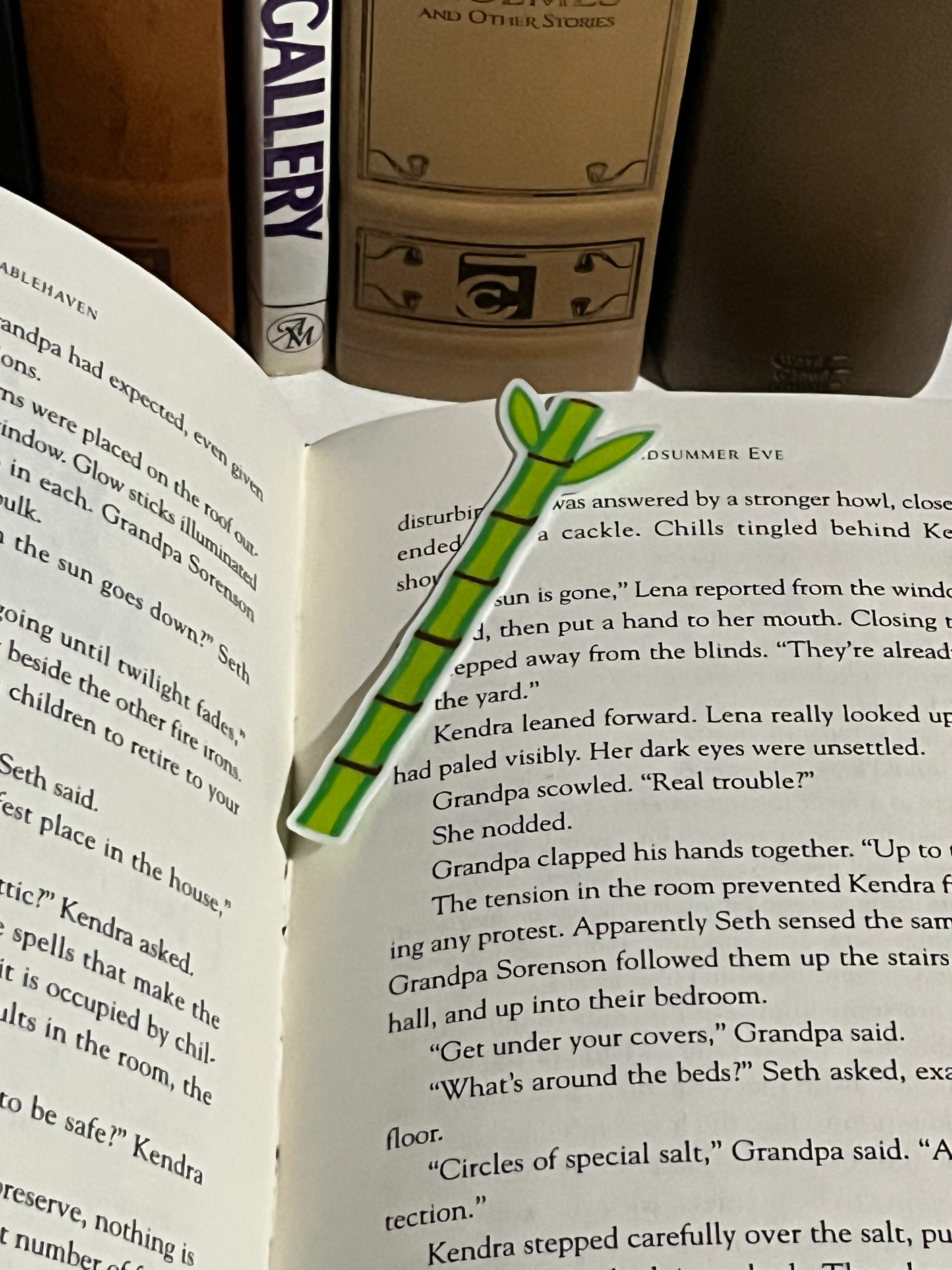 Bamboo Bookmark