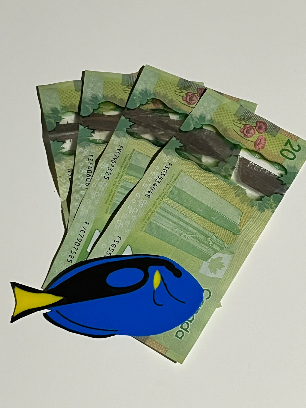 Blue Tang Commercial Licensing