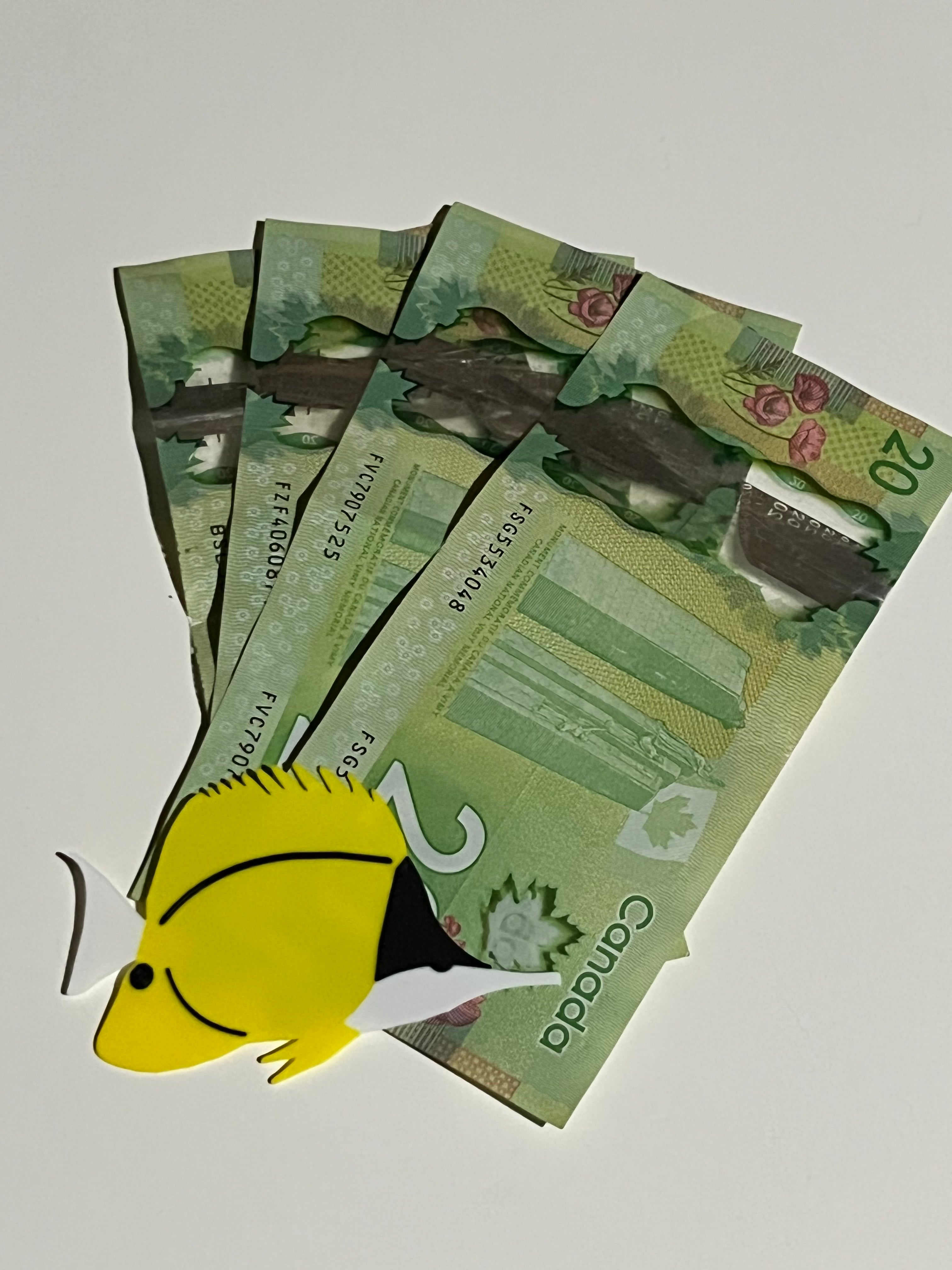 Butterfly Fish Commercial License