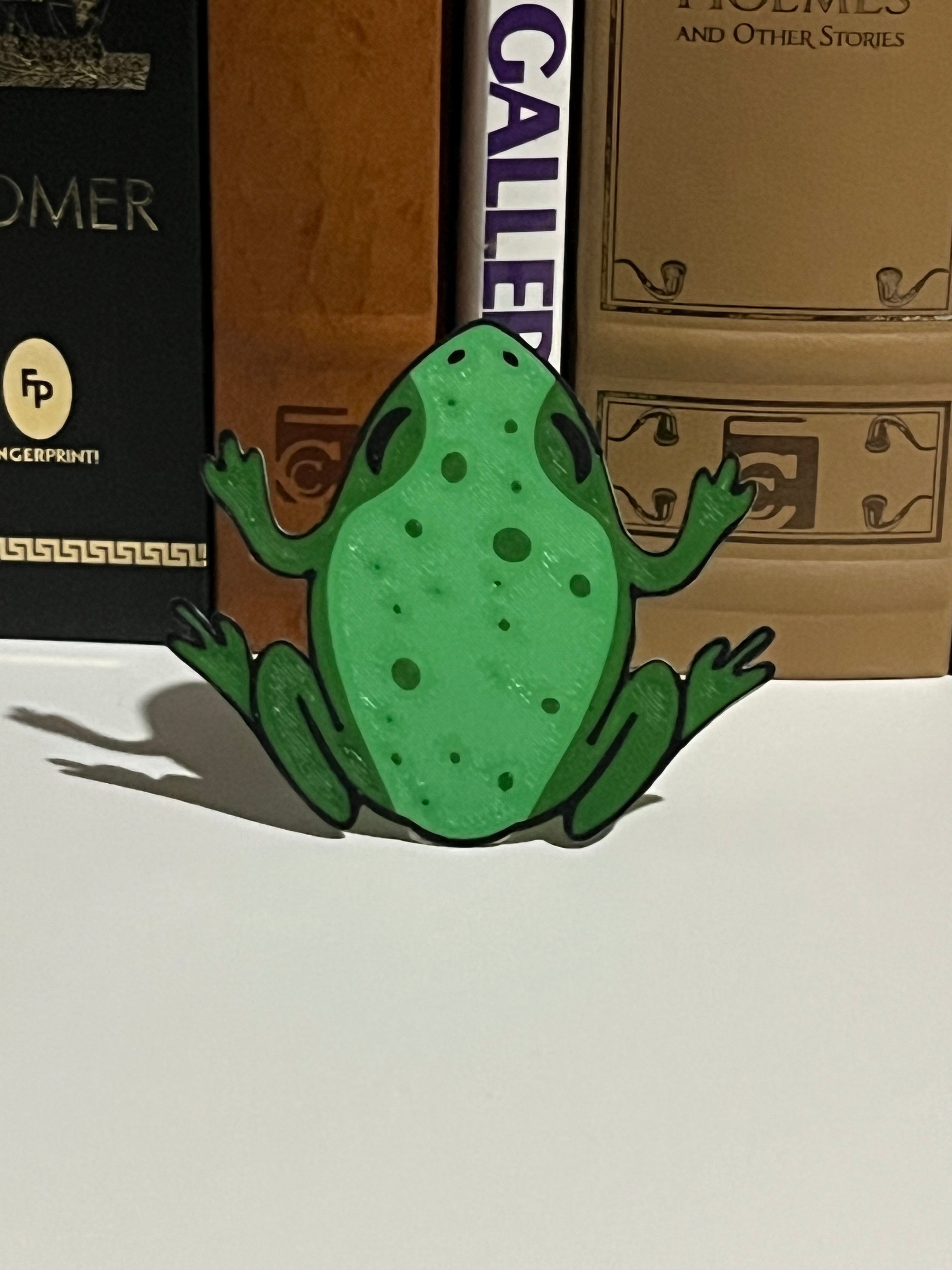 Frog Bookmark