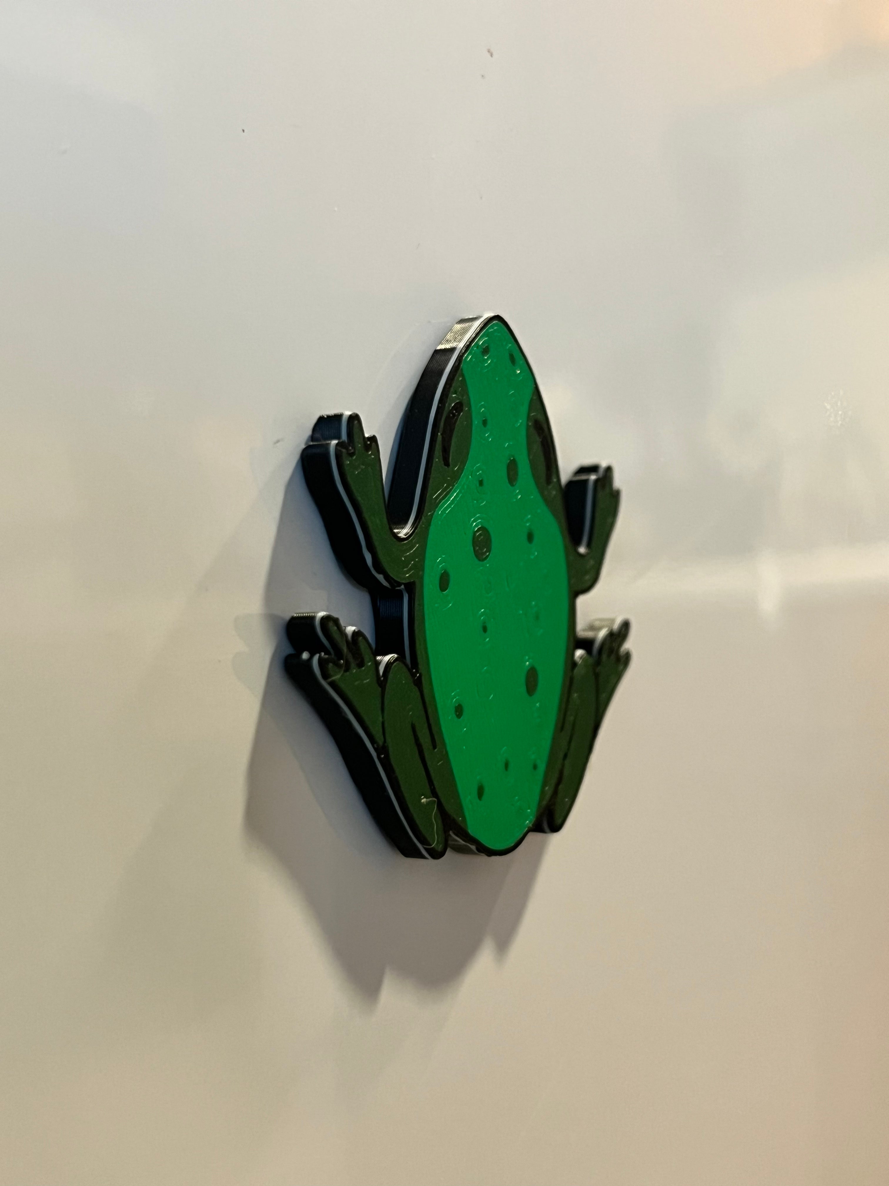 Frog Magnet