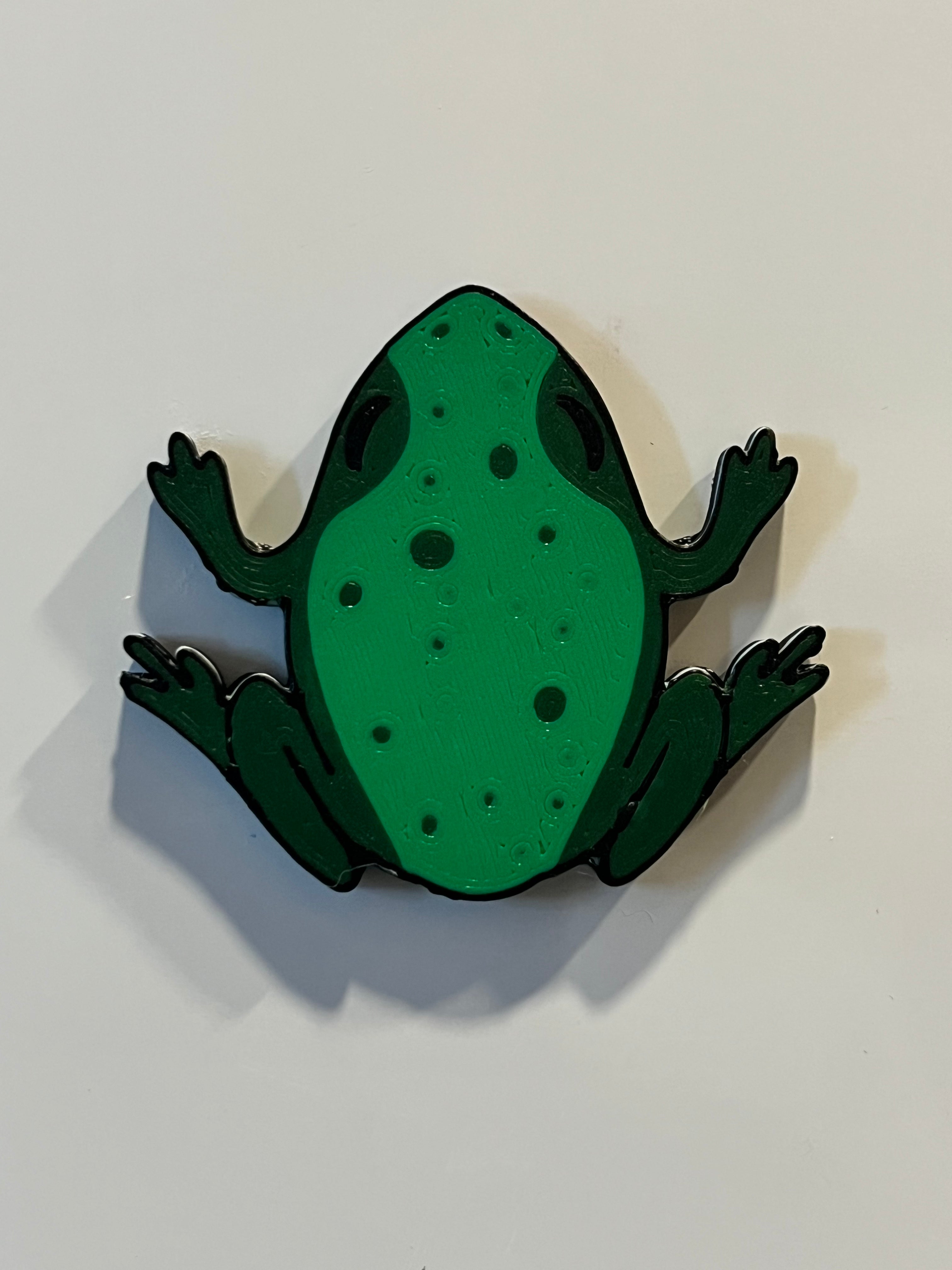 Frog Magnet