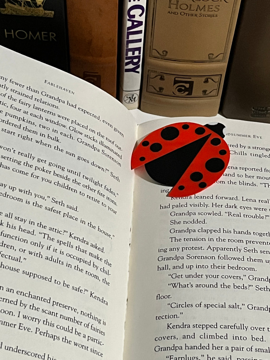 Ladybug Bookmark