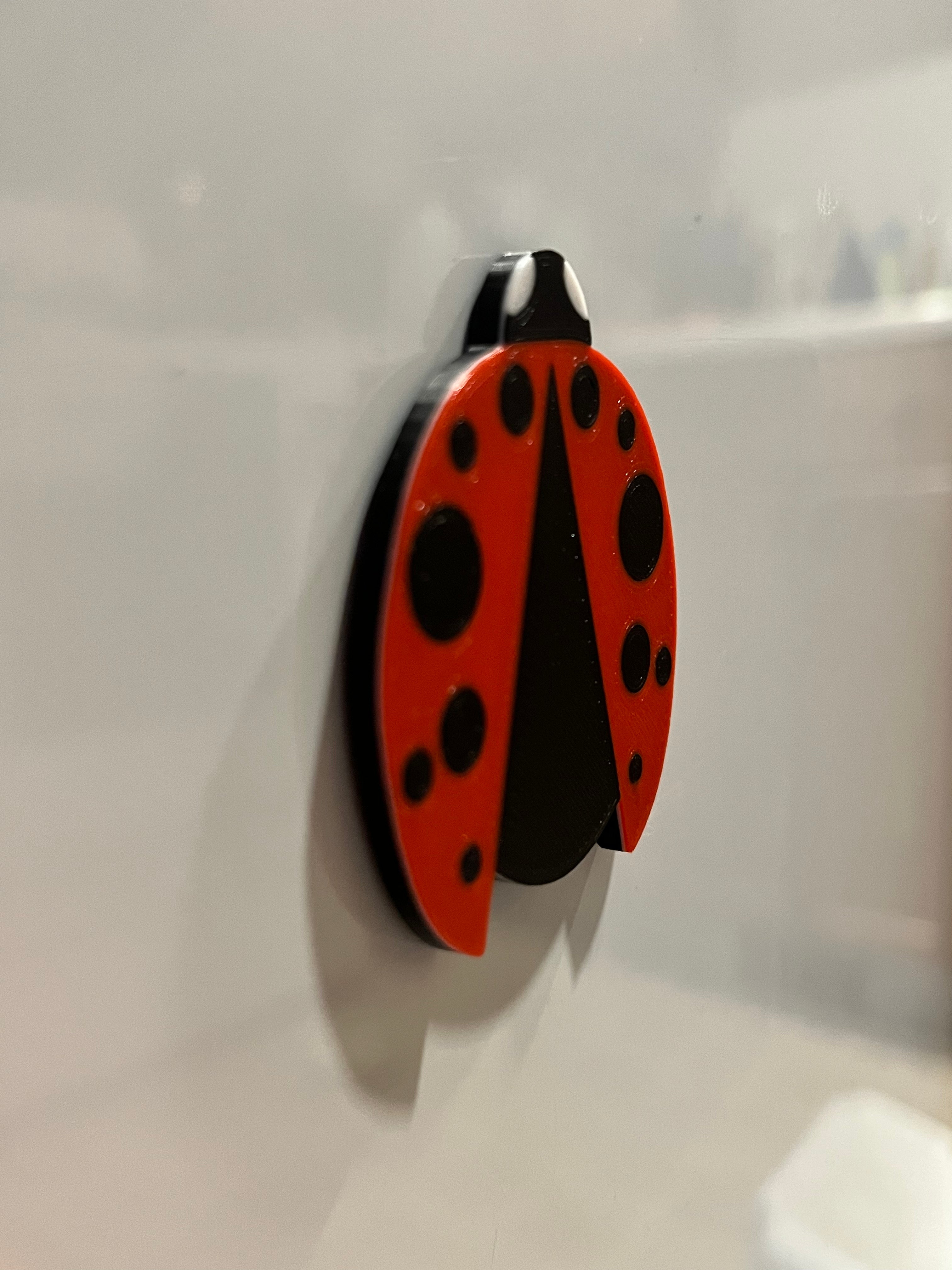 Ladybug Magnet