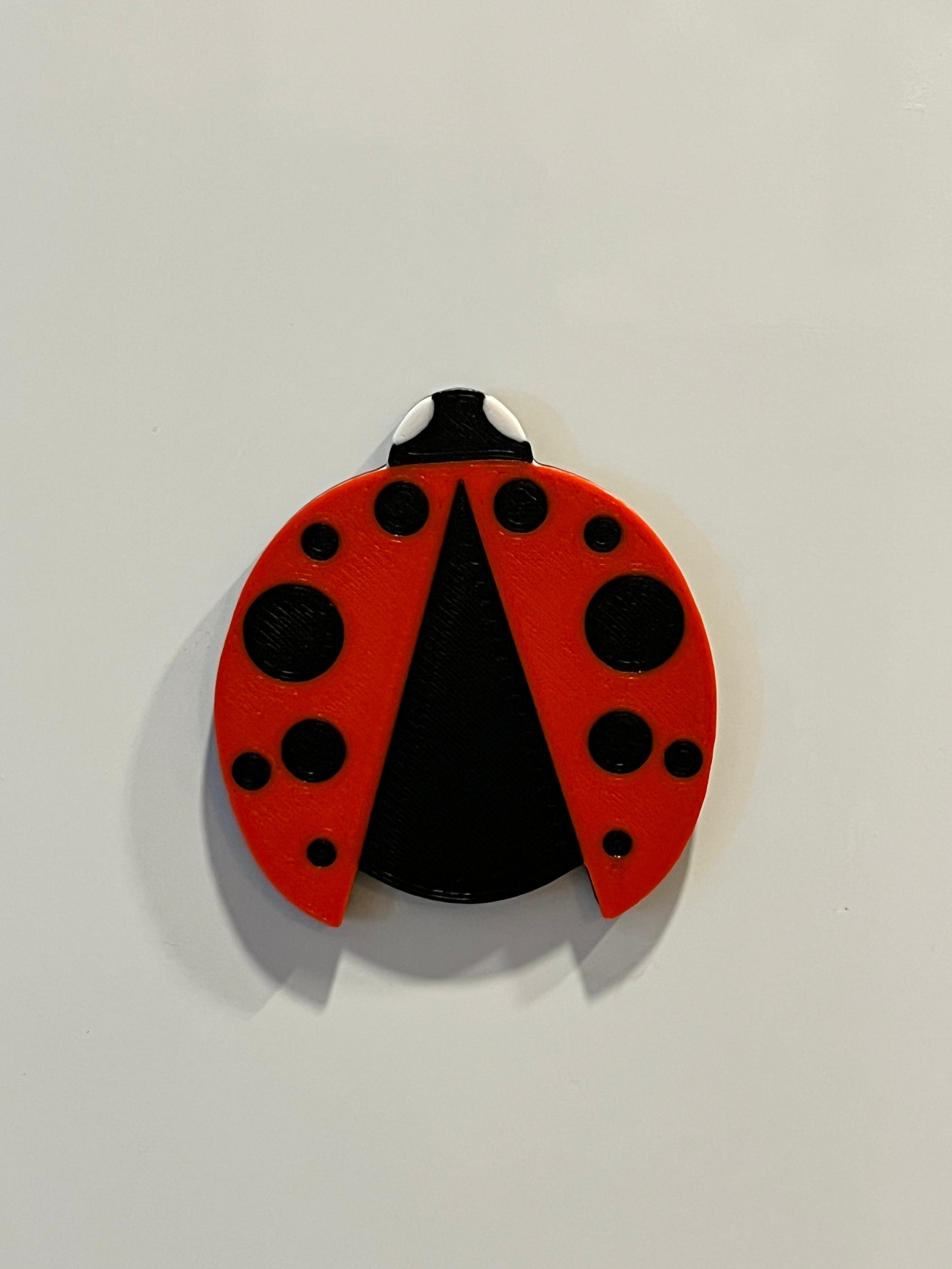 Ladybug Magnet